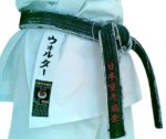 about_obi_shotokan_karate_techniques