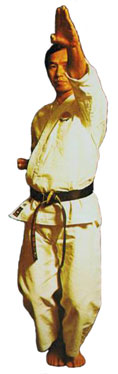 Basic Karate Moves AgeUke