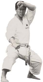 Karate Kata Sochin