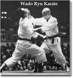 Wado Karate
