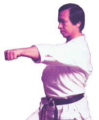 Basic Karate Moves Enoeda Gyaku Zuki