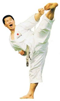 Basic Karate Moves Kagawa Yoko Geri