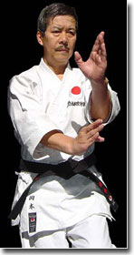 Karate Kata Bassai Sho