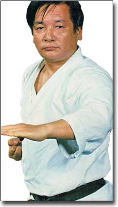 Karate Legends Shoji4