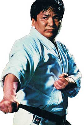Karate Legends Shoji