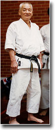 Karate Legends Shoji3