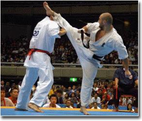 Kyokushin Karate Kick