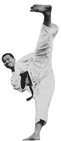 Shotokan Tiger Enoeda Kekomi